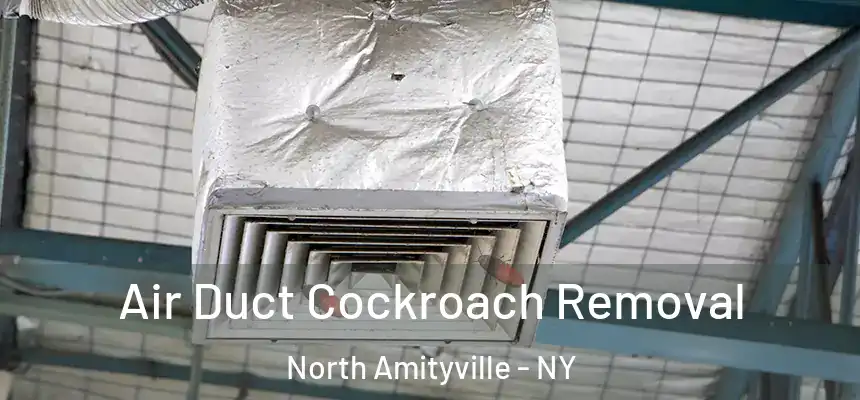  Air Duct Cockroach Removal North Amityville - NY