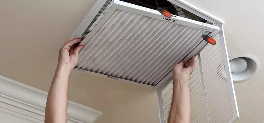 Preventive Cockroach-Proofing for Ducts in North Amityville