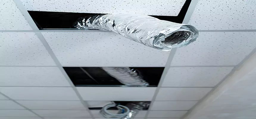 Affordable HVAC Sanitizing After Pest Removal in North Amityville