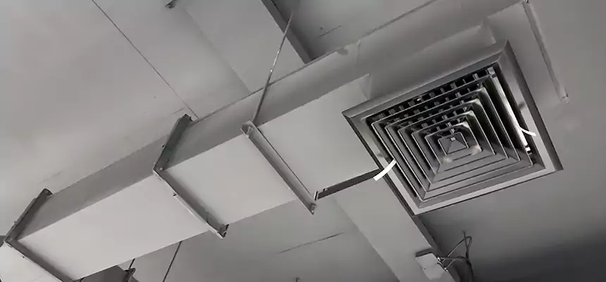 Our Rodent Droppings In Vents Services in North Amityville, NY