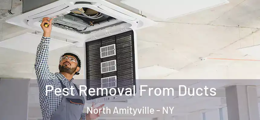  Pest Removal From Ducts North Amityville - NY