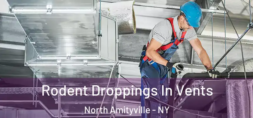  Rodent Droppings In Vents North Amityville - NY
