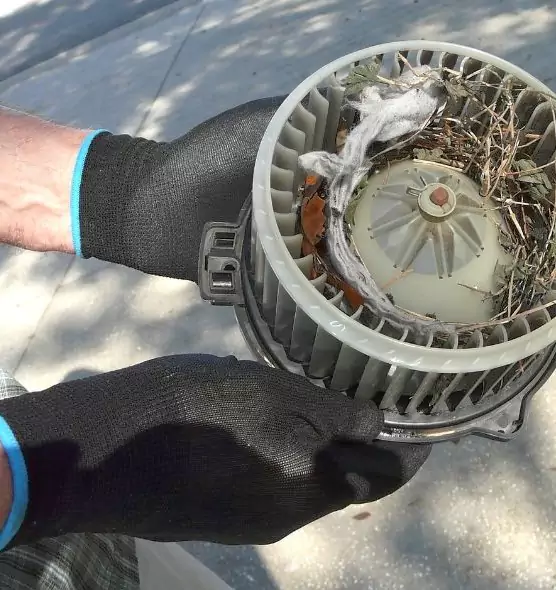 About Air Duct Mice Removal in North Amityville, NY