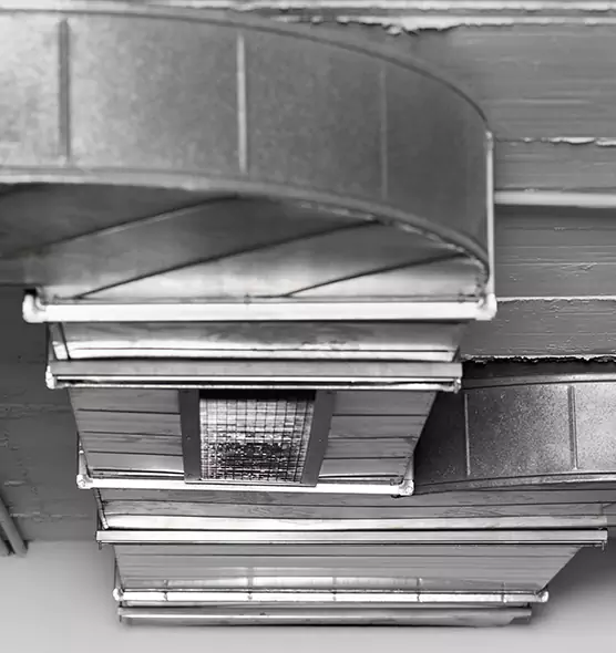 Professional Air Duct Pest Removal in North Amityville, NY