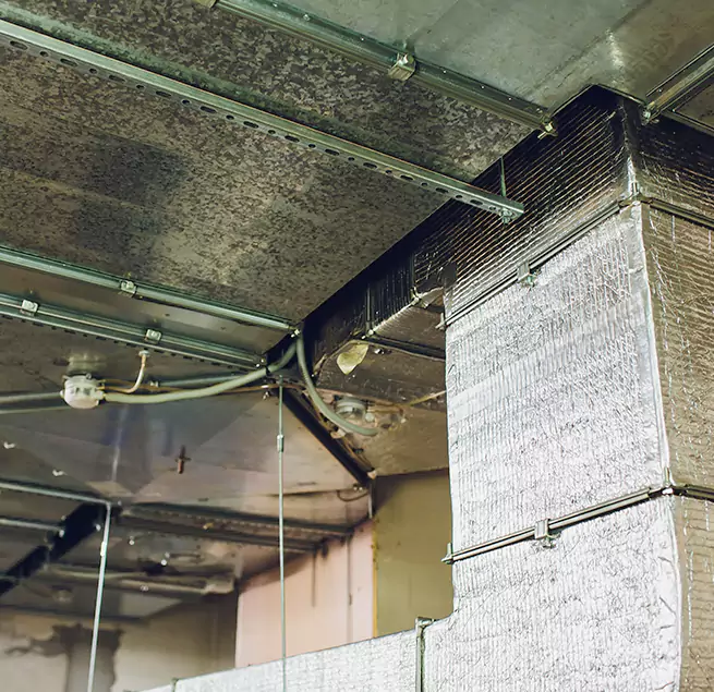 Why Homeowners & Businesses Trust Us in North Amityville, NY?